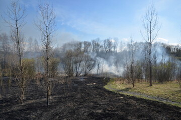 Dry grass and bush fire with burnt surface and part not affected by fire with smoke and flames
