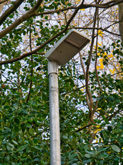 A replacement steel street light with low power LED lighting fitted - part of a local authority energy saving programme.