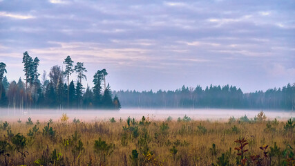 misty morning over the landscape,colorful morning landscape,beautiful misty autumn panorama. general plan
