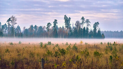 misty morning over the landscape,colorful morning landscape,beautiful misty autumn panorama. general plan