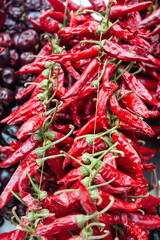 Dried red chili paprika hang in bunch.