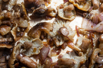 Sheathed Wood Tuft Mushroom Tops With Onion