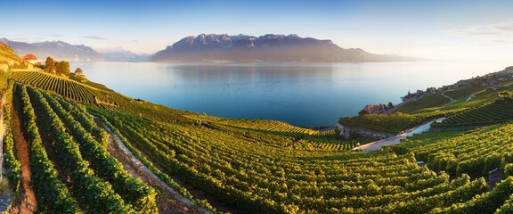 Panoramic view of the city of Vevey at Lake Geneva with vineyards of famous Lavaux wine region on a...