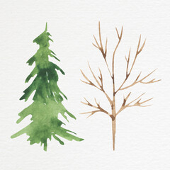 Watercolor drawing of a tree without leaves and a Christmas tree on textured paper. Winter, Christmas items. For your design.