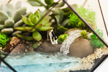 Florarium - composition of succulents, stone, sand and glass, element of interior, home decor, glass terarium