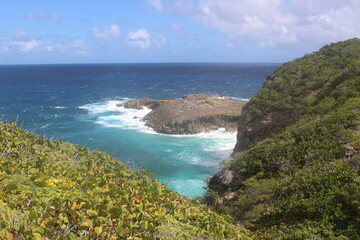 Crique de rêve aux Antilles