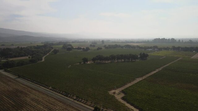 Flyover of Nappy Valley Vinwards