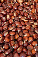 Sweet chestnut background for creative backdrop (Vertical photo, Focus stacking)