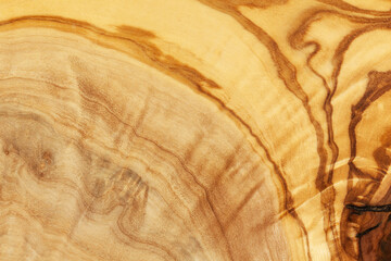 Natural olive wood texture, wooden cut background. Zero waste, eco-friendly, no plastic, go green, plastic free, environmental conservation, sustainable lifestyle concept. Copy space. Horizontal