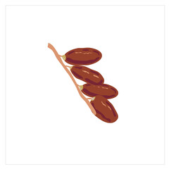 Dates Fruit Ramadan Kareem Vector