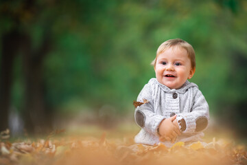 Cute little baby boy play in autumn park with fallen leaves