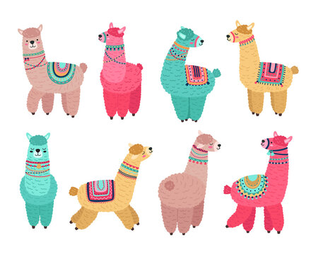 Cute llama. Funny alpaca, cute llamas mexican wildlife characters. Creative tribal wool animals, isolated cartoon nursery pets vector set. Alpaca animal, funny colored lama illustration