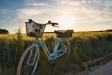 Fahrrad Weizenfeld