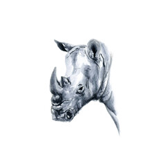 Watercolor drawing monochrome head of rhinoceros