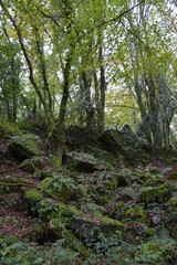 Orvault - Ville verte - La vallée du Cens