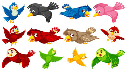 Set of bird cartoon character