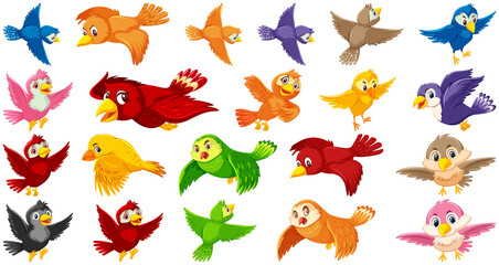 Set of bird cartoon character