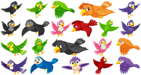 Set of bird cartoon character
