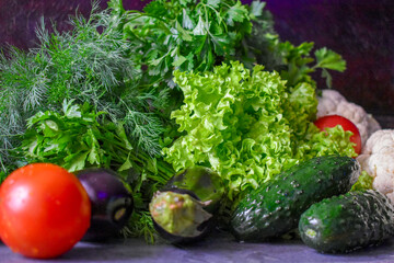 Vegetable set, eggplant, juicy salad, tomato, cucumber, cauliflower, morning, parsley