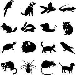 Pets animals icons set in black