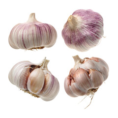 fresh garlic isolated on white background 