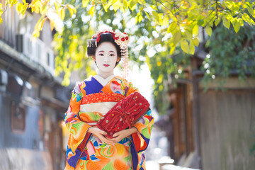 京都 舞妓