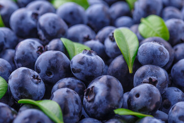 Fresh blueberry background. Blueberry Texture Close Blueberry Antioxidant Organic Superpeed Bowl Concept Healthy Nutrition