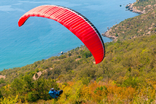 a man flies on a paraglider over a mountain in greenery and a blue sea