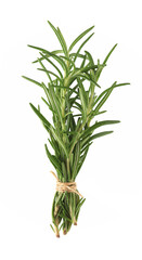 Branch of rosemary on white background. 