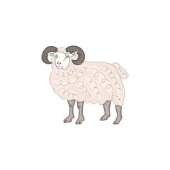 The ram stands isolate. Vector illustration.