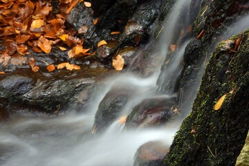 waterfall in autumn