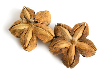 Plukenetia volubilis, commonly known as sacha inchi, sacha peanut, mountain peanut. Dried fruit isolated