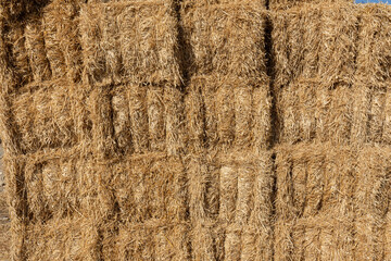 detail of bale-shaped packed straw texture