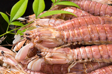 調理したシャコエビ