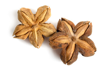 Plukenetia volubilis, commonly known as sacha inchi, sacha peanut, mountain peanut. Dried fruit isolated