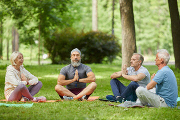 Group of active senior people spending sunny morning together in park meditating with hands in namaste