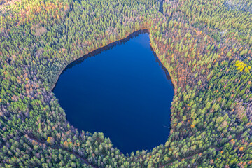 Heart-shaped lake with blue water and green and dense pine forest. Photo from the drone. Finland, lake Niinilampi