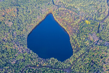 Heart-shaped lake with blue water and green and dense pine forest. Photo from the drone. Finland,...