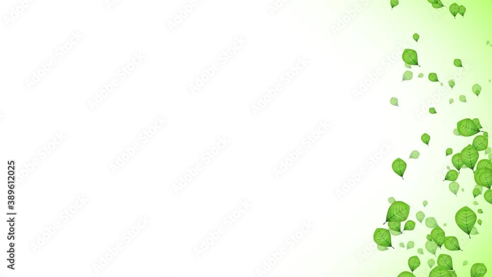 Poster abstract spring green leaves falling animation loop/ 4k animation of an abstract spring or summer se