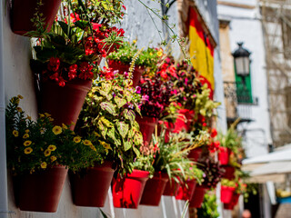 Flower pots hanging of the wall filled with colourful flowers