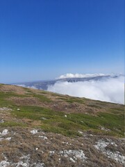 country south area