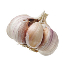 fresh garlic isolated on white background 