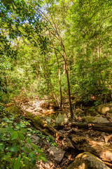 Costa Rica, around the Colorado river