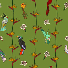 Vector seamless illustration of paradise and tropical birds in colors and jungle. Exotic birds pattern for printing on fabric, blanks for designers, banner, bed
