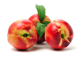 nectarine on a white background