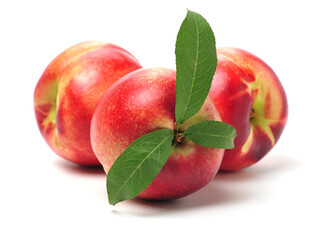 nectarine on a white background