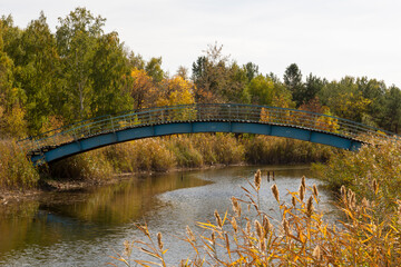 Obraz premium A small iron bridge over the river in the park.