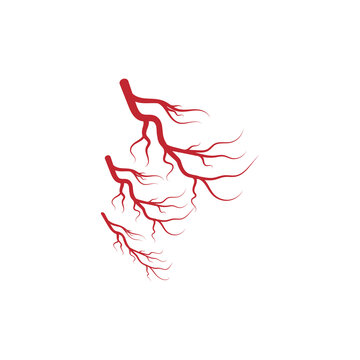 Veins Logo Template vector symbol