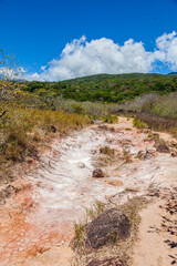 Costa Rica, around the Colorado river