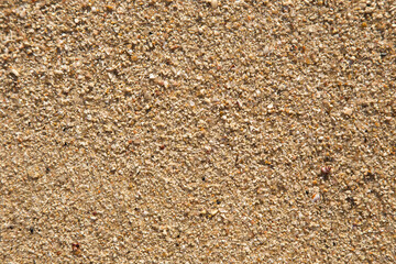 Golden sand, sea sand, sand on the beach, old ancient stone and brown sendy wall texture wallpaper